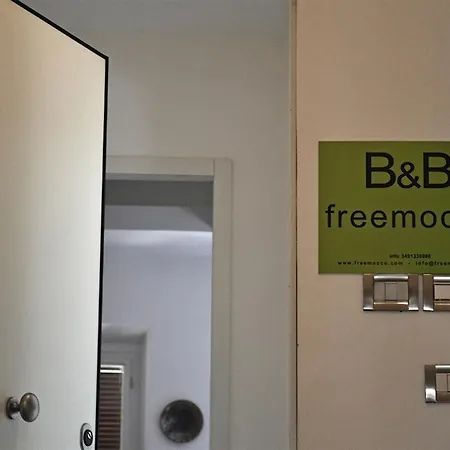 Freemocco 4*